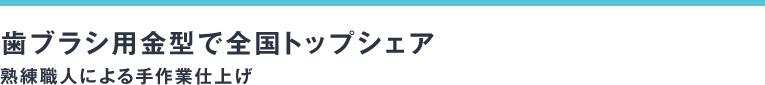 歯ブラシ用金型で全国トップシェア～熟練職人による手作業仕上げ～