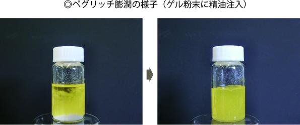 ペグリッチの膨潤の様子