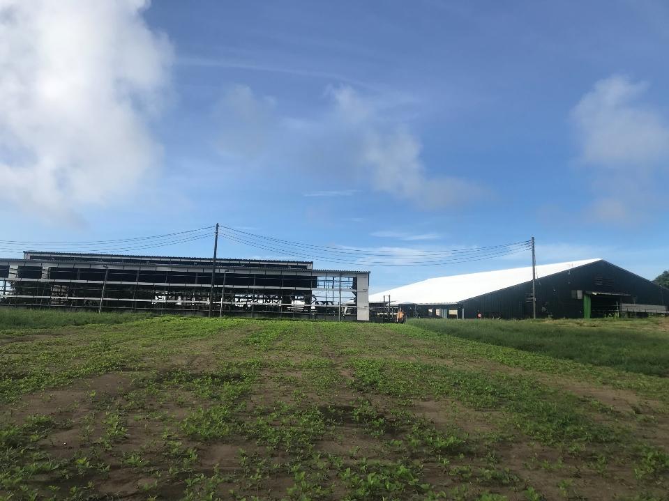 牛も快適！夏も涼しく過ごせます